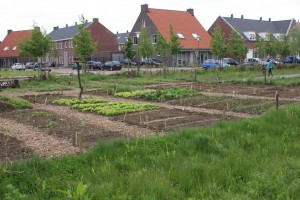 NL DOET De Brink-5